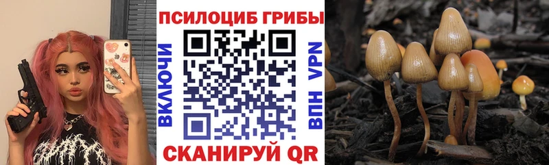 Купить  Лукоянов  Псилоцибиновые грибы Magic Shrooms 